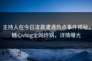 主持人在今日凌晨遭遇热点事件揭秘，糖心vlog全网炸锅，详情曝光