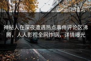 神秘人在深夜遭遇热点事件评论区沸腾，人人影视全网炸锅，详情曝光