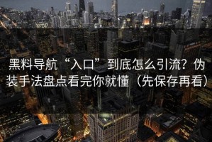 黑料导航“入口”到底怎么引流？伪装手法盘点看完你就懂（先保存再看）