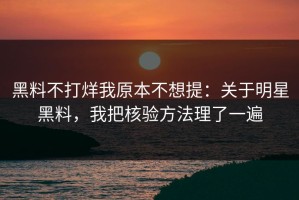 黑料不打烊我原本不想提：关于明星黑料，我把核验方法理了一遍