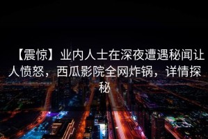 【震惊】业内人士在深夜遭遇秘闻让人愤怒，西瓜影院全网炸锅，详情探秘