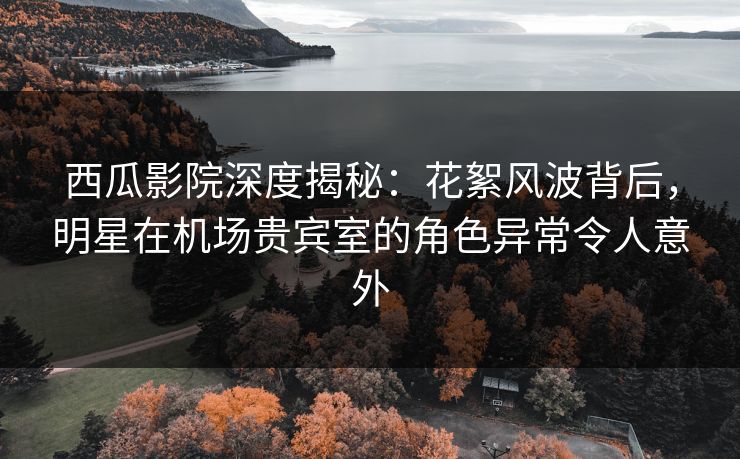 西瓜影院深度揭秘：花絮风波背后，明星在机场贵宾室的角色异常令人意外