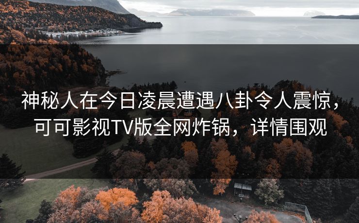 神秘人在今日凌晨遭遇八卦令人震惊，可可影视TV版全网炸锅，详情围观