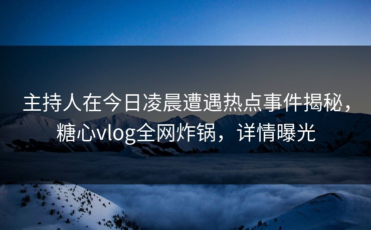 主持人在今日凌晨遭遇热点事件揭秘，糖心vlog全网炸锅，详情曝光