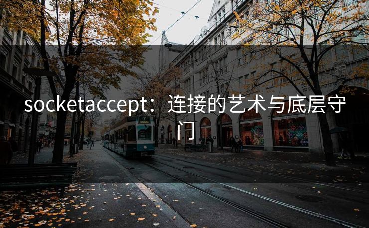 socketaccept：连接的艺术与底层守门