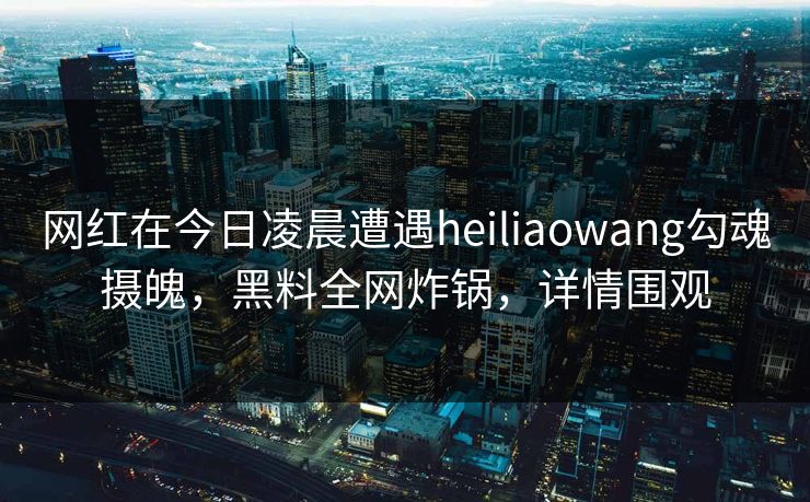 网红在今日凌晨遭遇heiliaowang勾魂摄魄，黑料全网炸锅，详情围观